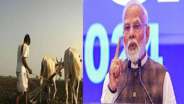 मोदी सरकारची शेतकऱ्यांना दिवाळी भेट; पिकांच्या MSP मध्ये मोठी वाढ, या पिकांचा केला समावेश