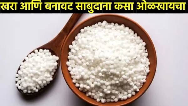 Navratri 2024 : नवरात्रीत उपवास धरलाय, तुम्ही नकली साबुदाना खात नाही ना? असा ओळखा खोटा अन् खरा