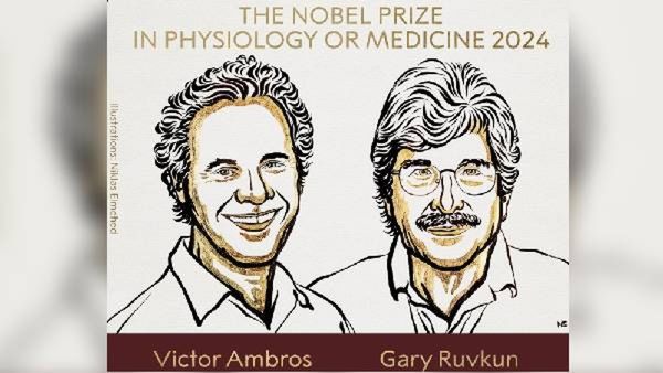 Nobel Prize 2024 : व्हिक्टर ॲम्ब्रोस आणि गॅरी रुवकुन यांना वैद्यकशास्त्रातील नोबेल पारितोषिक!