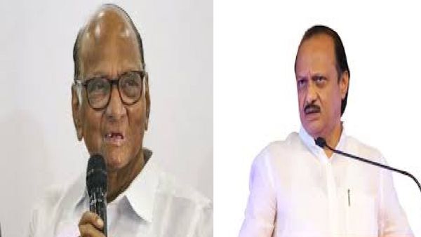 दोन्ही पवारांचा वेगवेगळा पाडवा उत्सव; अजित पवार व शरद पवारांनी सांगितलं अगदी मनातलं...