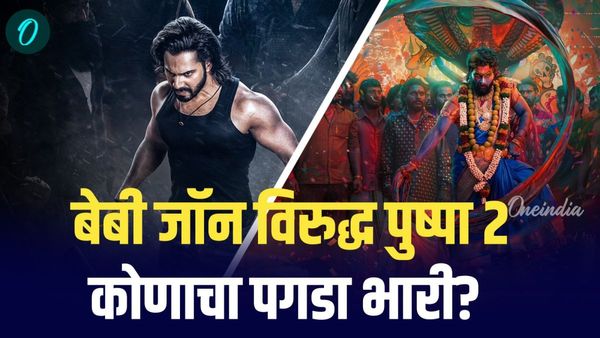 सलमानचा कॅमिओ, ऍटलीचं नाव तरीही बेबी जॉन फेल, पुष्पाची 21 व्या दिवसाच्या कमाईचीही बरोबरी नाही