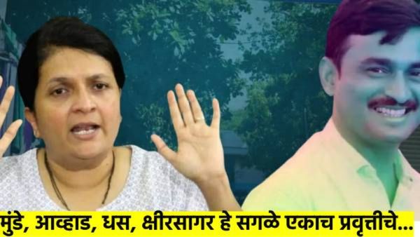नुसते मुंडेच नाहीत, धस, आव्हाड, क्षीरसागरही त्याच प्रवृत्तीचे; अंजली दमानियांचा नेमका आरोप काय?