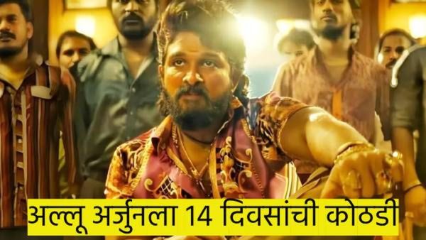 फायरचा फ्लाँवर झाला..! 'पुष्पा'ला 14 दिवसांची न्यायालयीन कोठडी; मेडिकल टेस्टही केली