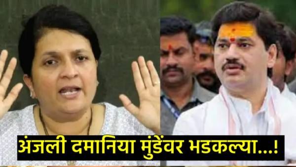 अश्लील कमेंट, दिवसाला 700-800 कॉल:धनंजय मुंडेंच्या कार्यकर्त्यांकडून त्रास, अंजली दमानियांचा आरोप