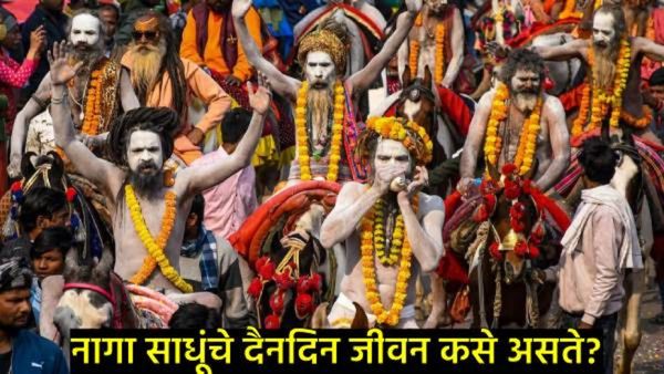 Maha Kumbh 2025 : नागा साधू कुठून येतात अन् कुंभमेळ्यानंतर ते कुठे जातात?, जाणून घ्या रहस्यमय कहाणी