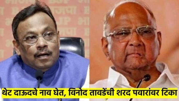 शरद पवारांनी शहांवर केलेली टिका भाजपच्या लागली जिव्हारी; विनोद तावडेंनी थेट दाऊदच काढला...