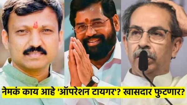नेमकं काय आहे 'ऑपरेशन टायगर'? ठाकरे गटाचे खासदार फुटणार? निवडणुकांपूर्वीच वातावरण पेटलं