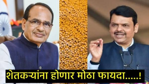 राज्यातील शेतकऱ्यांसाठी कृषीमंत्र्यांची मोठी घोषणा; सोयाबीन खरेदीला 31 जानेवारीपर्यंत मुदतवाढ, परंतु