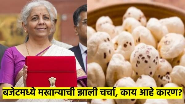 Budget 2025 मध्ये 'मखाना'ने खाल्ला भाव; मखान्याची चर्चा का झाली? मखान्यासाठी काय तरतूद केलीय?