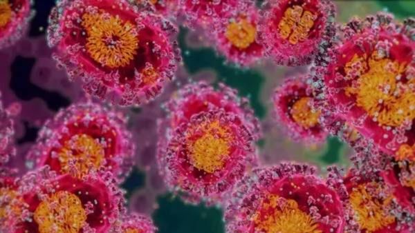 अमेरिकेत सापडला नवा घातक विषाणू! 10 मध्ये होता 7 जणांचा मृत्यू, हा व्हायरस किती धोकादायक? जाणून घ्या