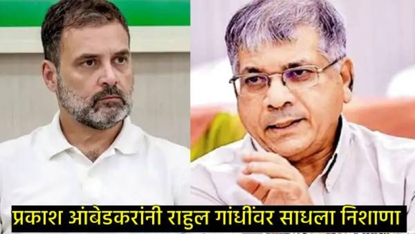 'वाघाहून मांजर अशी राहुल गांधींची अवस्था', मोदींनी त्यांना कचाट्यात पकडलंय, आंबेडकरांचा हल्लाबोल