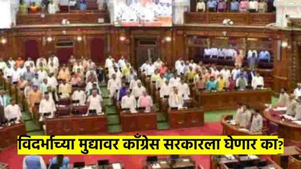 अर्थसंकल्पीय अधिवेशन : काँग्रेसला अस्तित्व दाखविण्याची संधी; नेमके कोणत्या मुद्यांवर सरकारला घेणार?