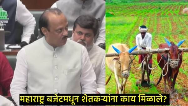 Maharashtra Session : अजित पवारांनी राज्यातील शेतकऱ्यांसाठी काय केल्या घोषणा, वाचा 10 पॉईंट्स
