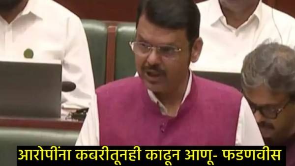 पोलिसांवर हल्ला सहन होणार नाही...त्यांना कबरीतून बाहेर शोधून काढू; देवेंद्र फडणवीस संतापले