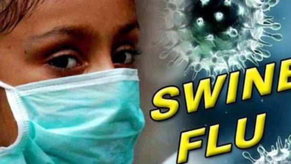 स्वाईन फ्लूचा धोका वाढला! महाराष्ट्रात किती जणांना लागण, कुठे सर्वाधिक मृत्यू, कशी घ्याल काळजी!