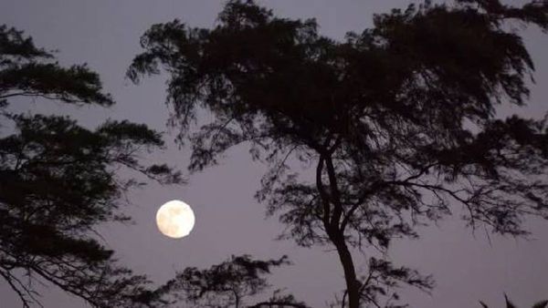 chaitra Purnima 2025: चैत्र पौर्णिमा कधी आहे? योग्य तारीख, वेळ आणि पद्धत जाणून घ्या!