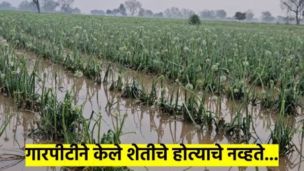 कुठे ४५ अंशाचा पारा, तर पुण्याला पावसानं झोडपलं; गारपिटीने शेतीचं मोठ्ठं नुकसान, कुठे काय झालं? वाचा