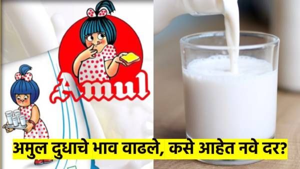 मदर डेअरीनंतर अमूलनेही वाढवल्या दुधाच्या किंमती; कारण काय? किती वाढल्या किंमती? वाचा