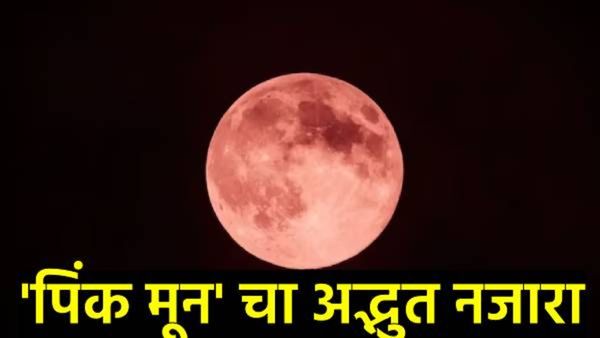 Full Moon April 2025 : आज गुलाबी चंद्र कधी आणि कसा पाहता येईल?, सगळं जाणून घ्या!