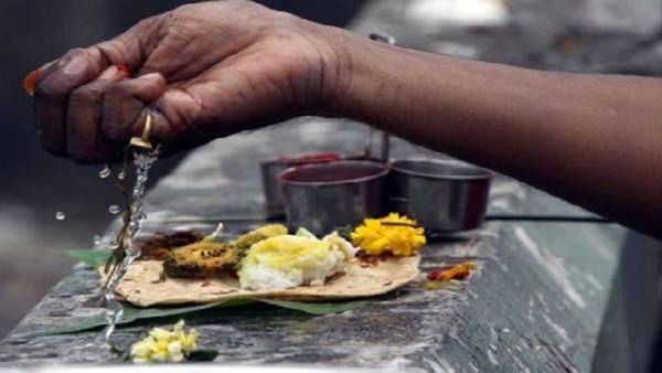 Vaishakh Amavasya 2025: शुभ मुहूर्त, पूजेची पद्धत आणि पितृपक्ष अर्पण करण्याचे नियम जाणून घ्या