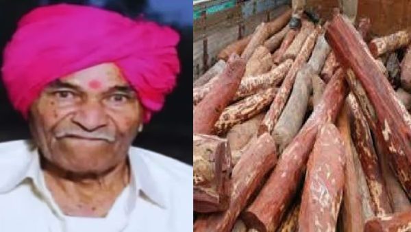 शेतक-याला एका झाडाची भरपाई म्हणून मिळाले 1 कोटी रुपये, झाडाची ओळख पटवण्यासाठी यूटूबची मदत