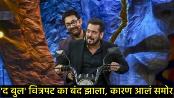 Salman Khan The Bull : सलमान खानचा 250 कोटींचा चित्रपट थांबला, नेमकं काय झालं? जाणून घ्या!