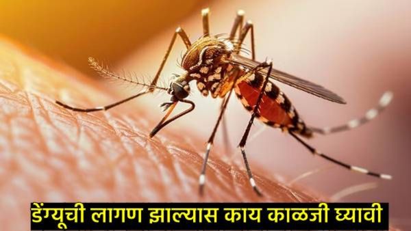 Dengue : डेंग्यूच्या काळात काय खावे अन् काय खाऊ नये?, 'या' गोष्टींमुळे तुम्ही व्हाल त्वरीत तंदुस्त!
