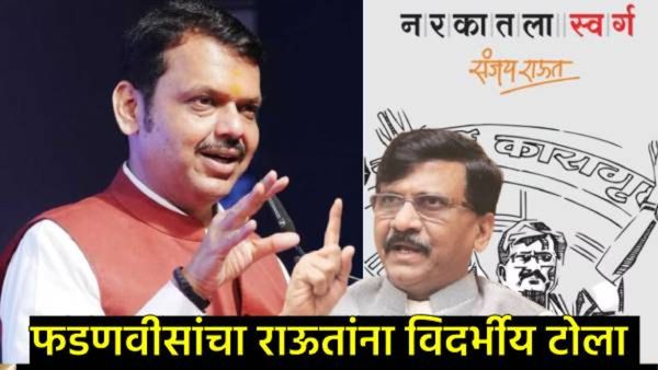 'बालसाहित्य वाचण्याच माझं वय राहिलं नाही';संजय राऊतांच्या पुस्तकाची देवेंद्र फडणवीसांनी इज्जतच काढली