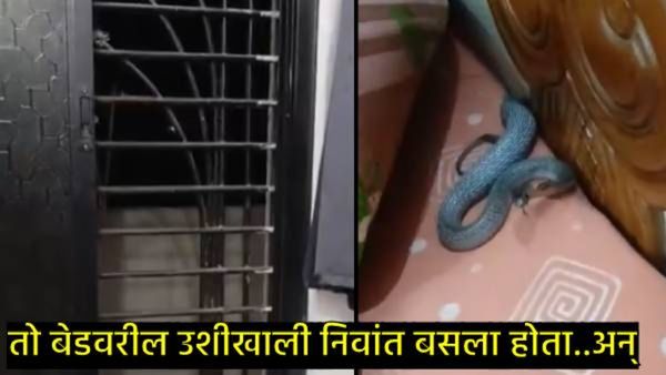घरात शांतता अन् आला विचित्र आवाज नंतर उशी लागली थरथरायला, Video पाहून तुमच्याही अंगावर येईल काटा