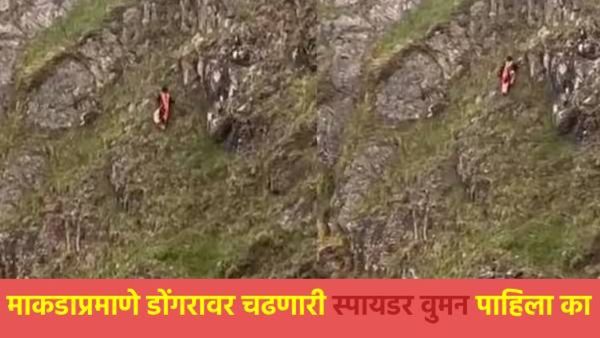 Viral Video :माकडाप्रमाणे डोंगरावर सरसर चढणारी 'स्पायडर वुमन' पाहिला का?, व्हिडिओ पाहून बसेल धक्का!