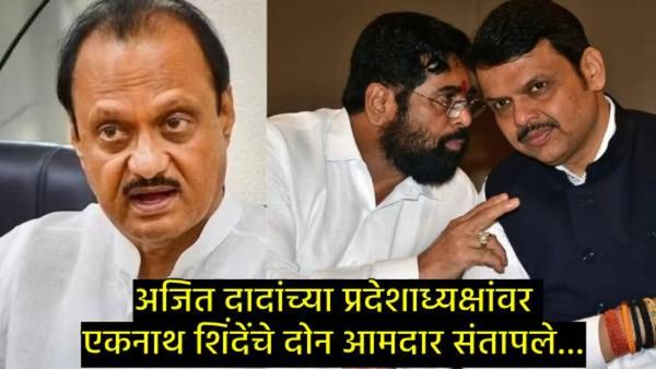 NCP-शिवसेनेत जुंपली; आमदार महेंद्र दळवींचा तटकरेंवर आरोप; परांजपेंना म्हणाले तू दीडदमडीचा माणूस...