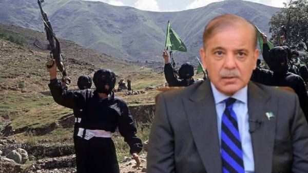 पहलगाम हल्ला करणाऱ्या संघटनेपासून पाकिस्तान आता स्वत:ला का दूर ठेवतोय, PAK पंतप्रधान का नरमले?