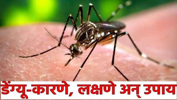 Dengue सावधान! पावसाळ्यात डेंग्यूचा 'ताप' वाढला! कशामुळे होतो संसर्ग? जाणून घ्या कारणे, लक्षणं उपाय