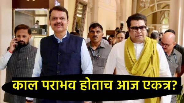 काल 'ठाकरे ब्रँड'चा पराभव, आज राज ठाकरे फडणवीसांच्या भेटीला, उद्धव यांना धक्का की नवी चाल?