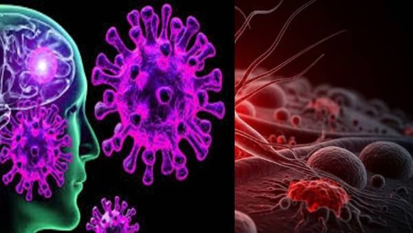 केरळमध्ये मेंदू खाणाऱ्या अमीबाची भीती; जाणून घ्या नेमका काय आहे प्रकार, 19 जणांचा बळी कसा गेला?