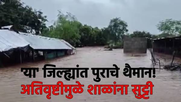 बीडसह 3 जिल्ह्यात पाऊस पुराचे थैमान! शाळा-महाविद्यालयांना सुट्टी जाहीर, गरज असेल तरच घराबाहेर पडा..