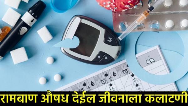 रिकाम्या पोटी खा फक्त 'हे' एक पान; कोलेस्टेरॉल-मधुमेहासाठी रामबाण उपाय, जाणून घ्या सविस्तर!