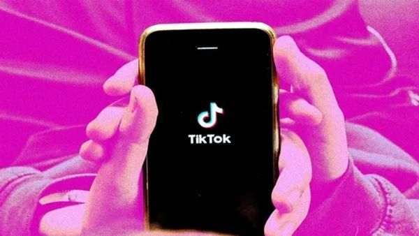 काय सांगताय! TikTok ला टक्कर देण्यासाठी OpenAI चे 'AI Video App' आणणार, जाणून घ्या त्याविषयी सर्वच! 