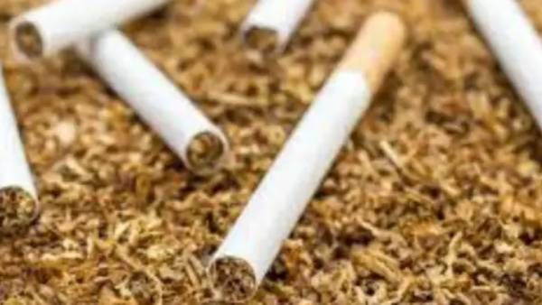 सिगारेट की तंबाखू, कोणते आहे सर्वाधिक धोकादायक! कर्करोगाचा धोका कोण वाढवते, संशोधनातून मोठा खुलासा!