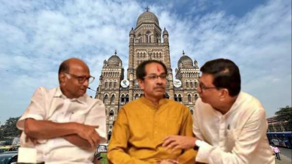 महाविकास आघाडीची युती तुटली?, BMC निवडणुका स्वबळावर लढणार, कोणाला फायदा-कुणाचे नुकसान?
