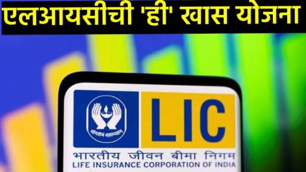 LICची 'ही' योजना पेन्शनची चिंता करणार दूर; एकदाच गुंतवणूक करा अन् आयुष्यभर मिळवा ₹1 लाख!