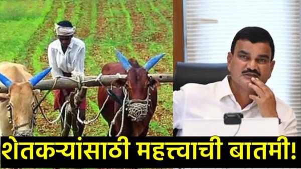 फडणवीस सरकारची मोठी घोषणा: शेतकऱ्यांना अपघात सुरक्षा सानुग्रह योजनेचा लाभ आता ऑनलाइन मिळणार!