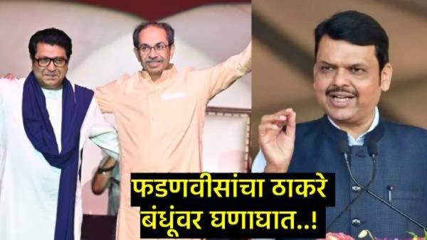 'परप्रांतियांना दोन थोबाडीत मारणं म्हणजे विकास नव्हे'; फडणवीसांचा ठाकरे बंधूंना बोचरा टोला