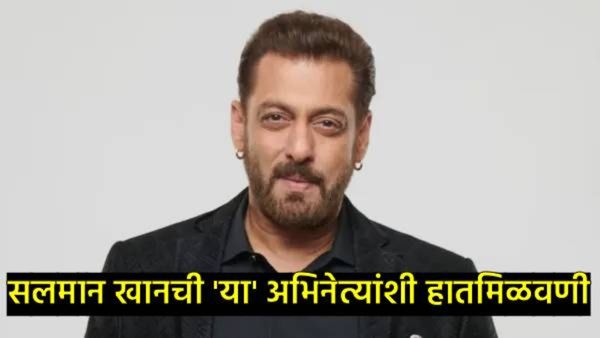 2026मध्ये होणार सर्वात मोठा धमाका! बॉलिवूड आणि दाक्षिणात्य इंड्स्ट्रीत होणार हातमिळवणी, सलमान खान..
