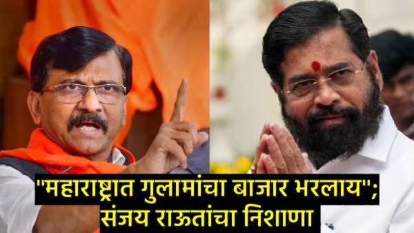 Sanjay Raut : पवार काका-पुतणे पुन्हा एकत्र, शिंदे भाजपचे मांडलिक'; संजय राऊतांचा घणाघात