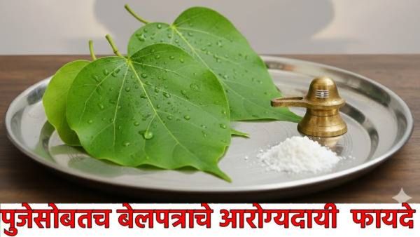 Mahashivratri 2026: पूजेसोबतच आरोग्यासाठीही वरदान आहे 'बेलपत्र'; रिकाम्या पोटी खाण्याचे 'हे' 5 फायदे