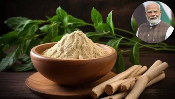 PM मोदींच्या ऊर्जेचे 'हे' आहे गुपित! 75 व्या वर्षीही फिट राहण्यासाठी घेतात 'या' सुपरफूडचा आधार