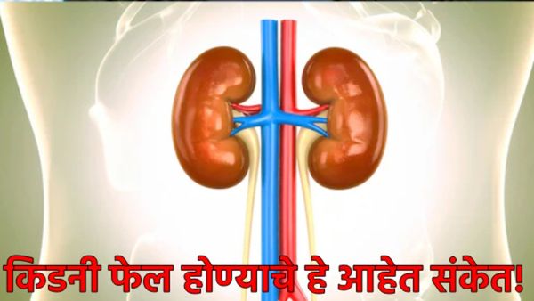 Kidney failure symptoms : सावधान! ही लक्षणे असू शकतात किडनी निकामी होण्याचे संकेत; वेळीच व्हा सावध! 