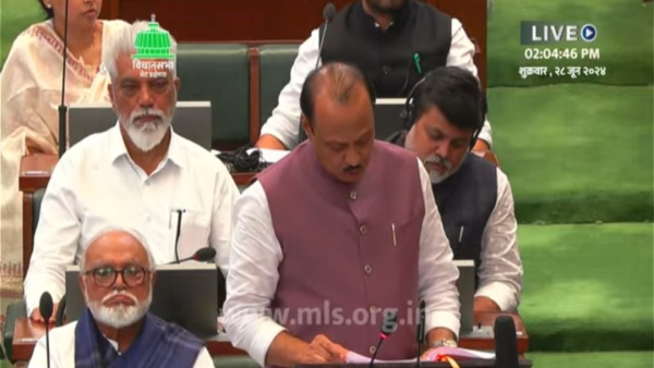 state interim budget