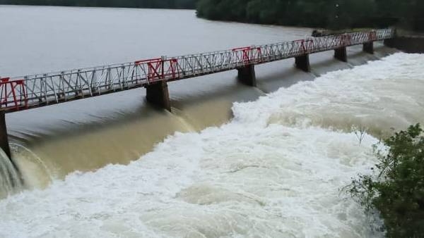 Maharashtra Weather Yellow alert for rain in Konkan  Vidarbha  Pune  Satara  Thane districts